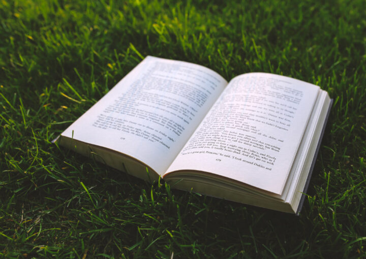 Librairie Paragraphes Fontenoy la Joûte